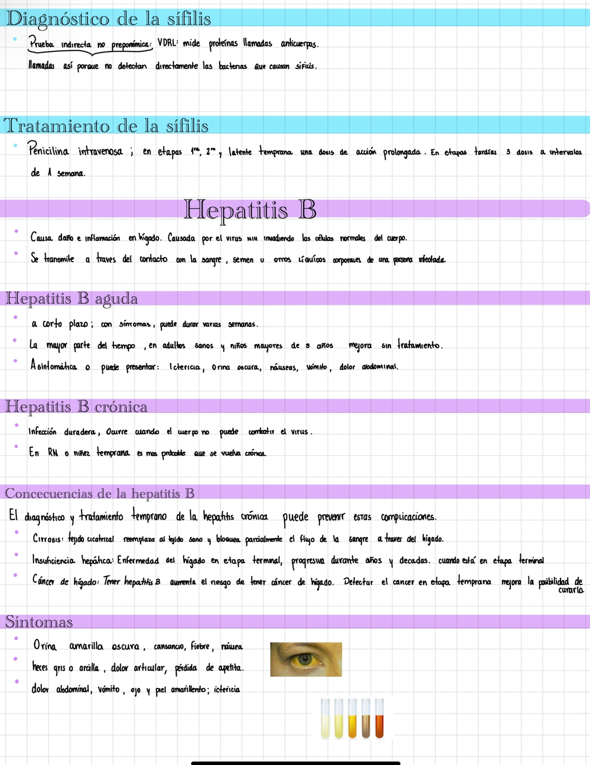 Hepatitis B - Apuntes ETS - Infectologia - Studocu