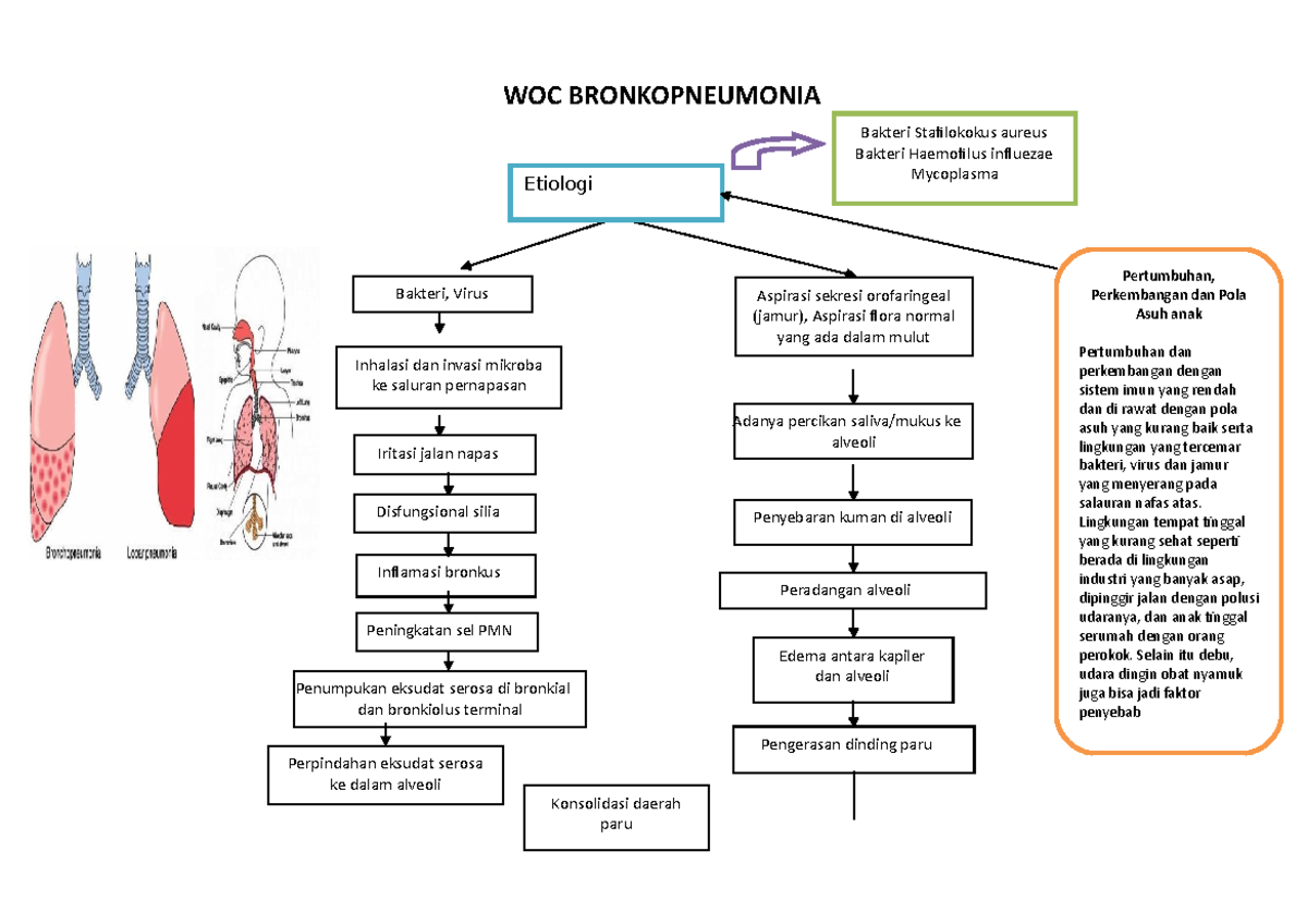 Scribfree Yes Woc Bronkopneumonia Adanya Percikan Saliva Mukus Ke