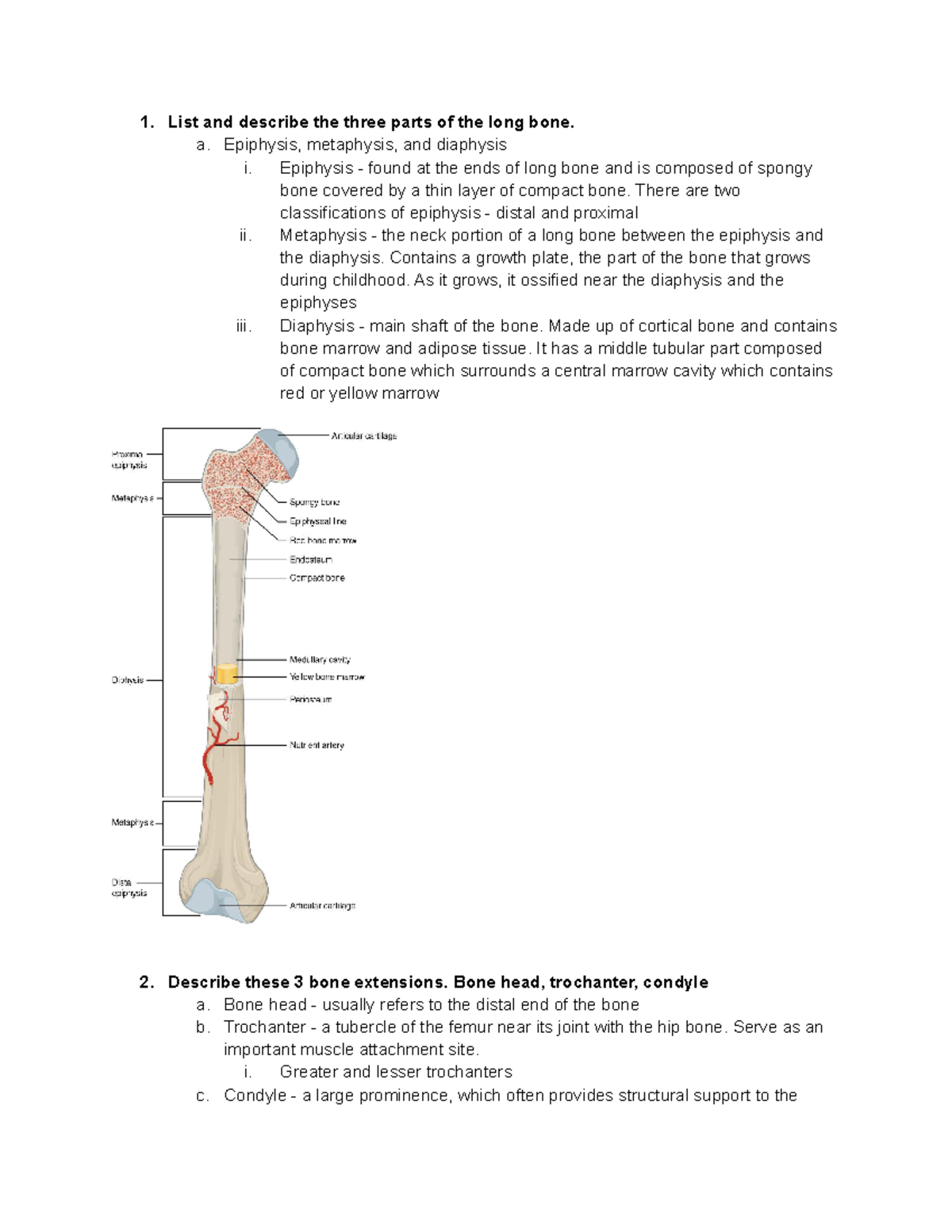 Unit 4 review - These notes talk about unit 4 in anatomy (the skeletal ...