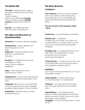 NSTP Reviewer - SELF AWARENESS AND VALUES DEVELOPMENT SELF-AWARENESS ...