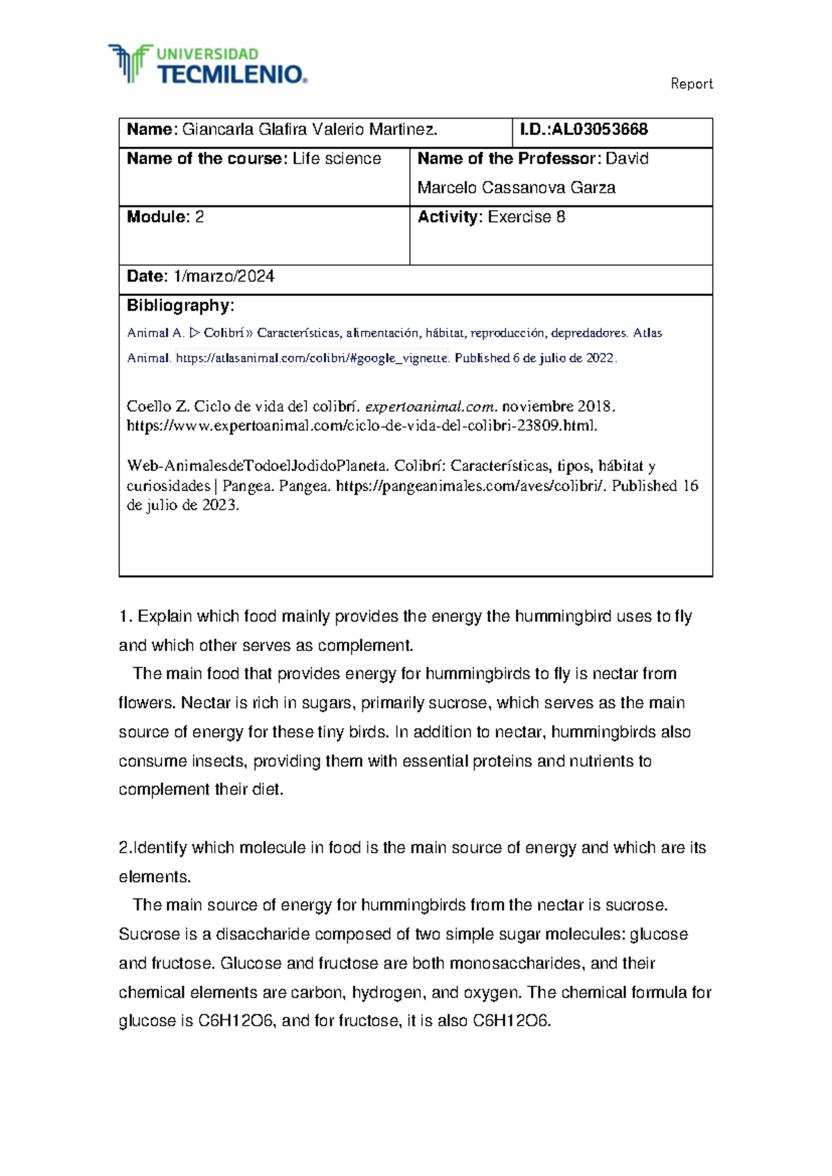 Report Format (2) excersice 8 - Report Name: Giancarla Glafira Valerio ...