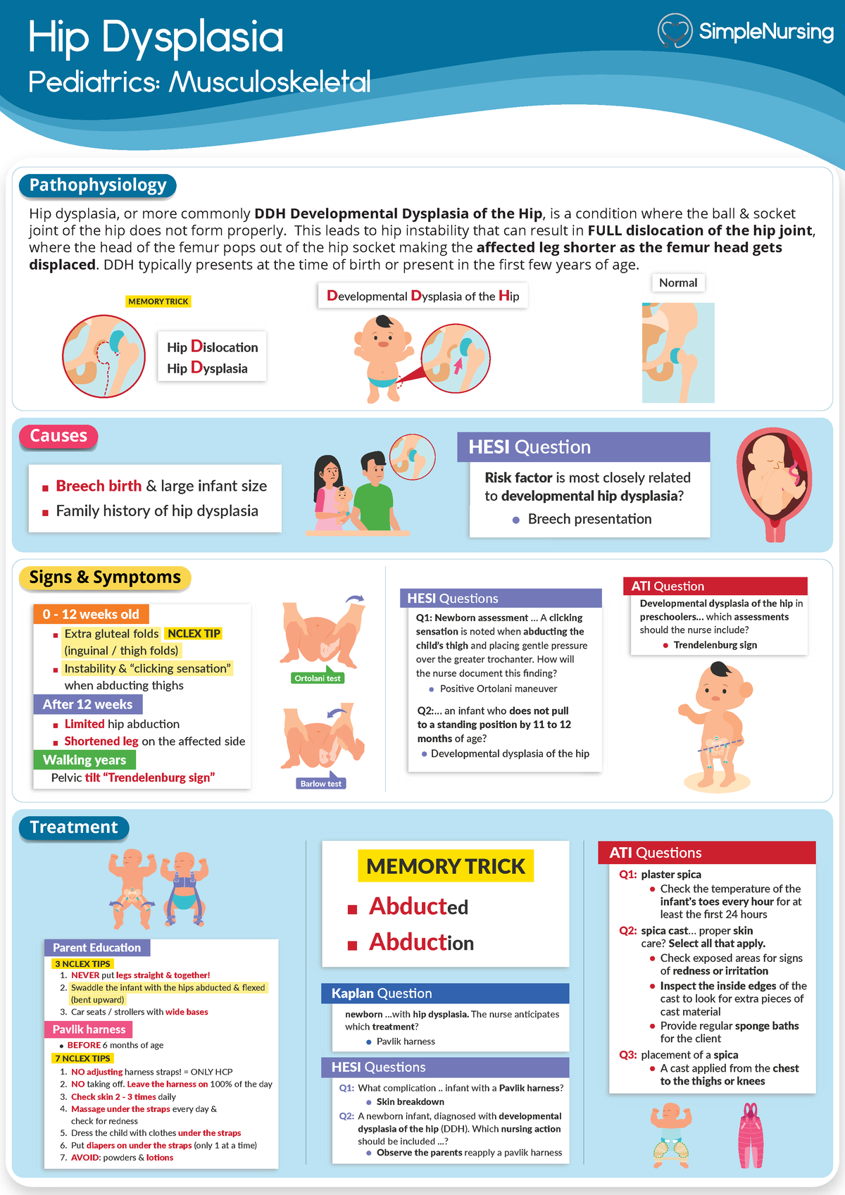 PEDS -Hip Dysplasia - Hip Dysplasia Pediatrics: Musculoskeletal Hip ...