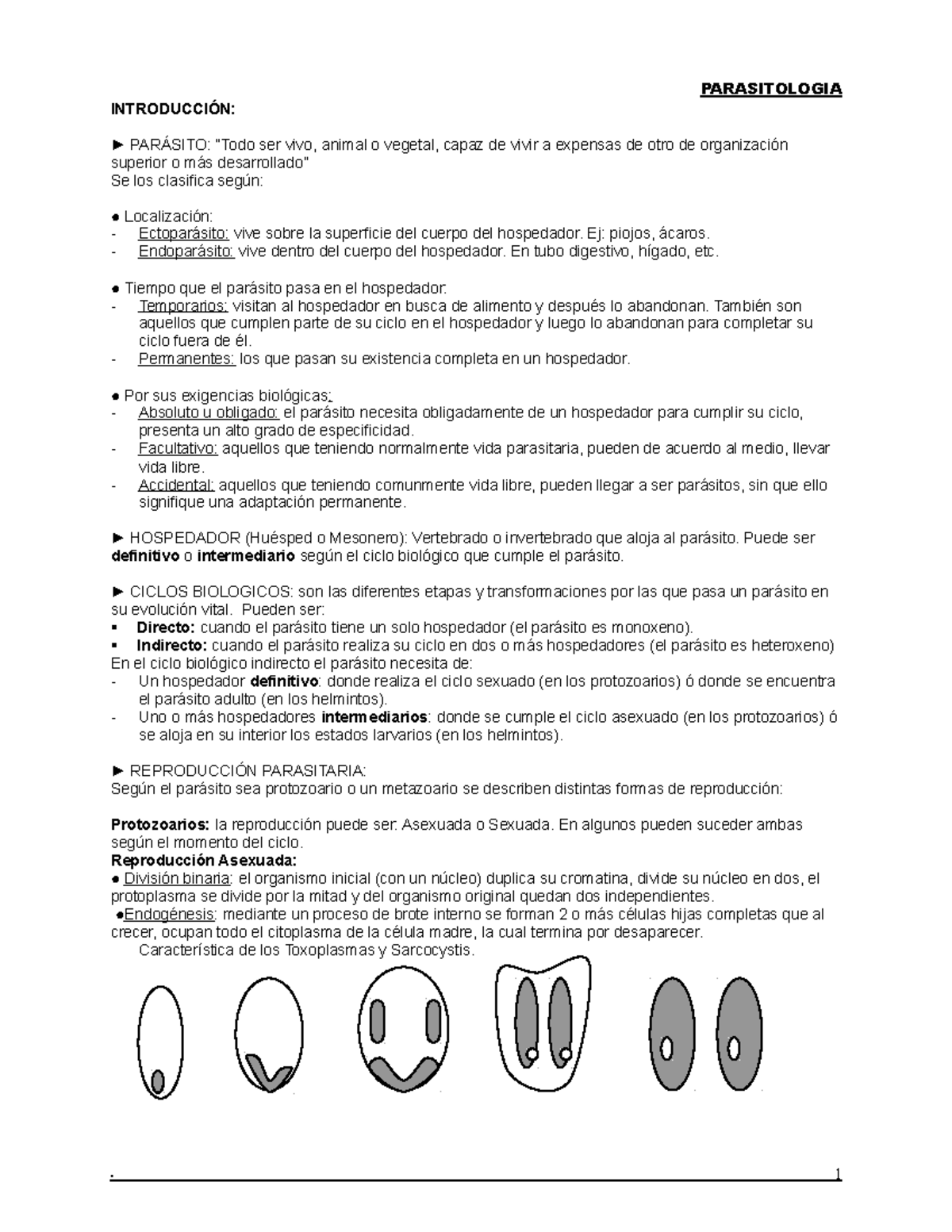 parásito en la parte posterior de la cabeza
