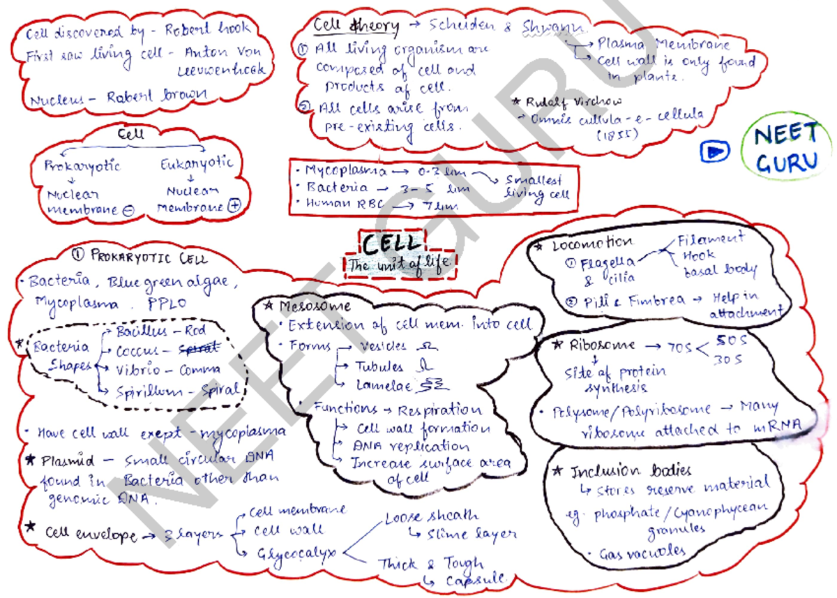 Cell The Unit Of Life Class Ncert Neet Cell Dscovened By Robent