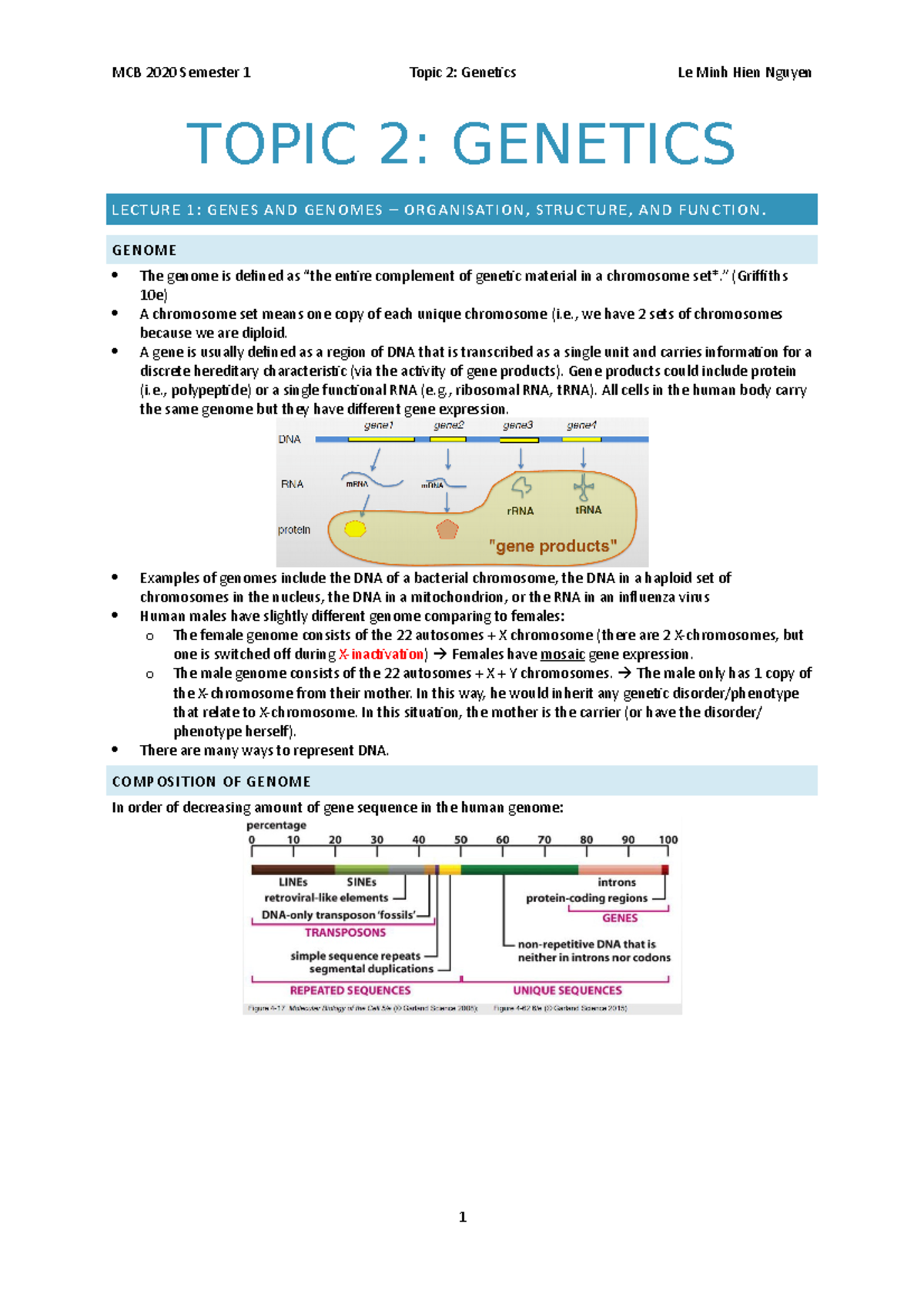 MCB Topic 2 Notes - TOPIC 2: GENETICS LECTURE 1: GENES AND GENOMES ...