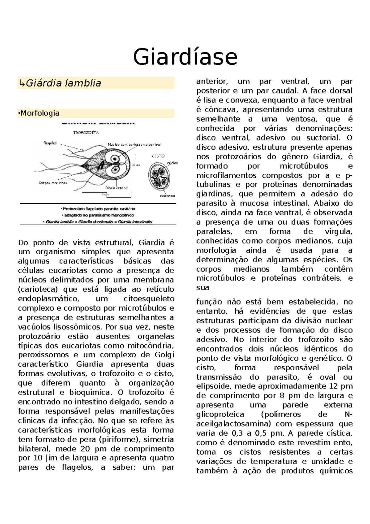 Giardíase resumo de giárdia com base no neves Giardíase ↳ Giárdia lamblia Morfologia Do