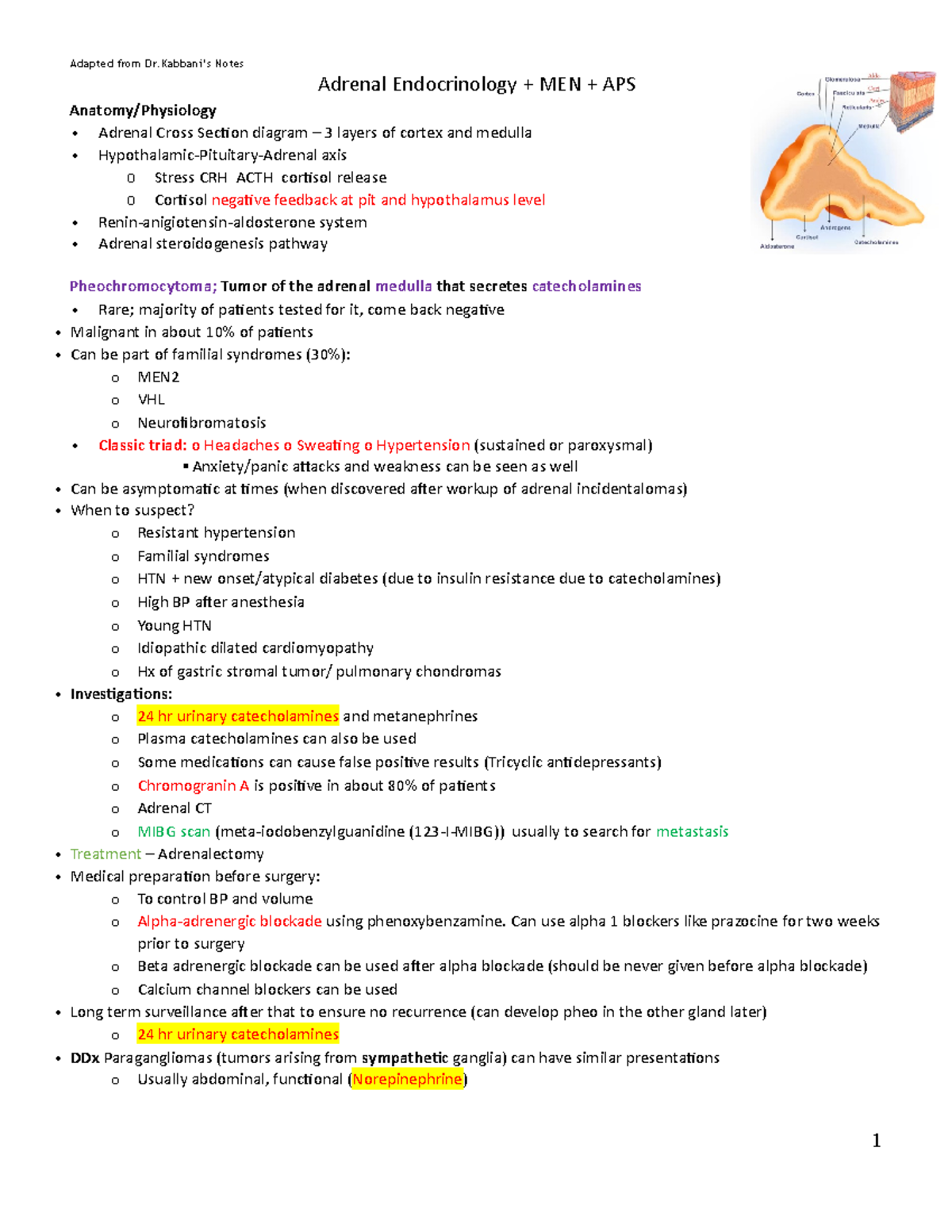 08. Adrenal - Adrenal Endocrinology + MEN + APS Anatomy/Physiology ...