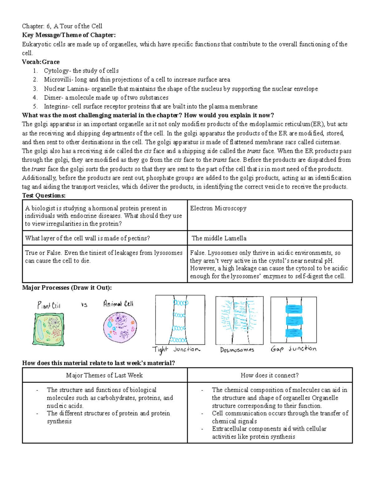 Chapter 6 Study Guide - Chapter: 6, A Tour Of The Cell Key Message ...