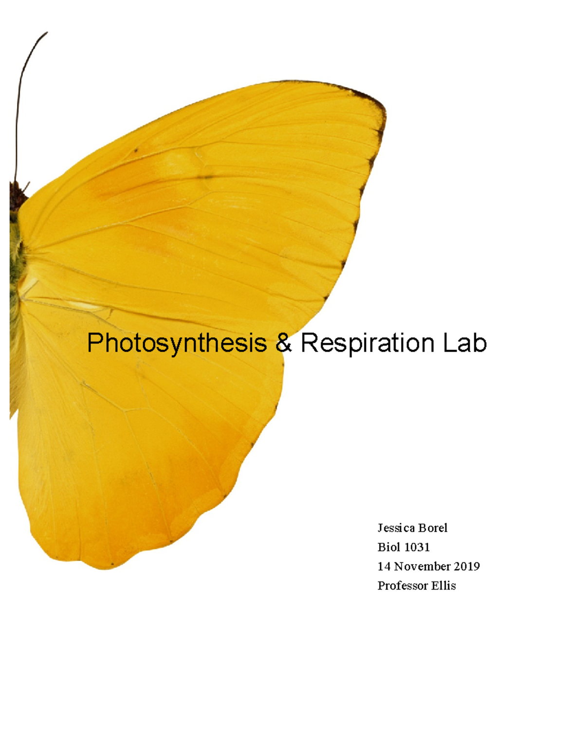 Photosynthesis Lab Report Photosynthesis & Respiration Lab Jessica Borel Biol 1031 14 November