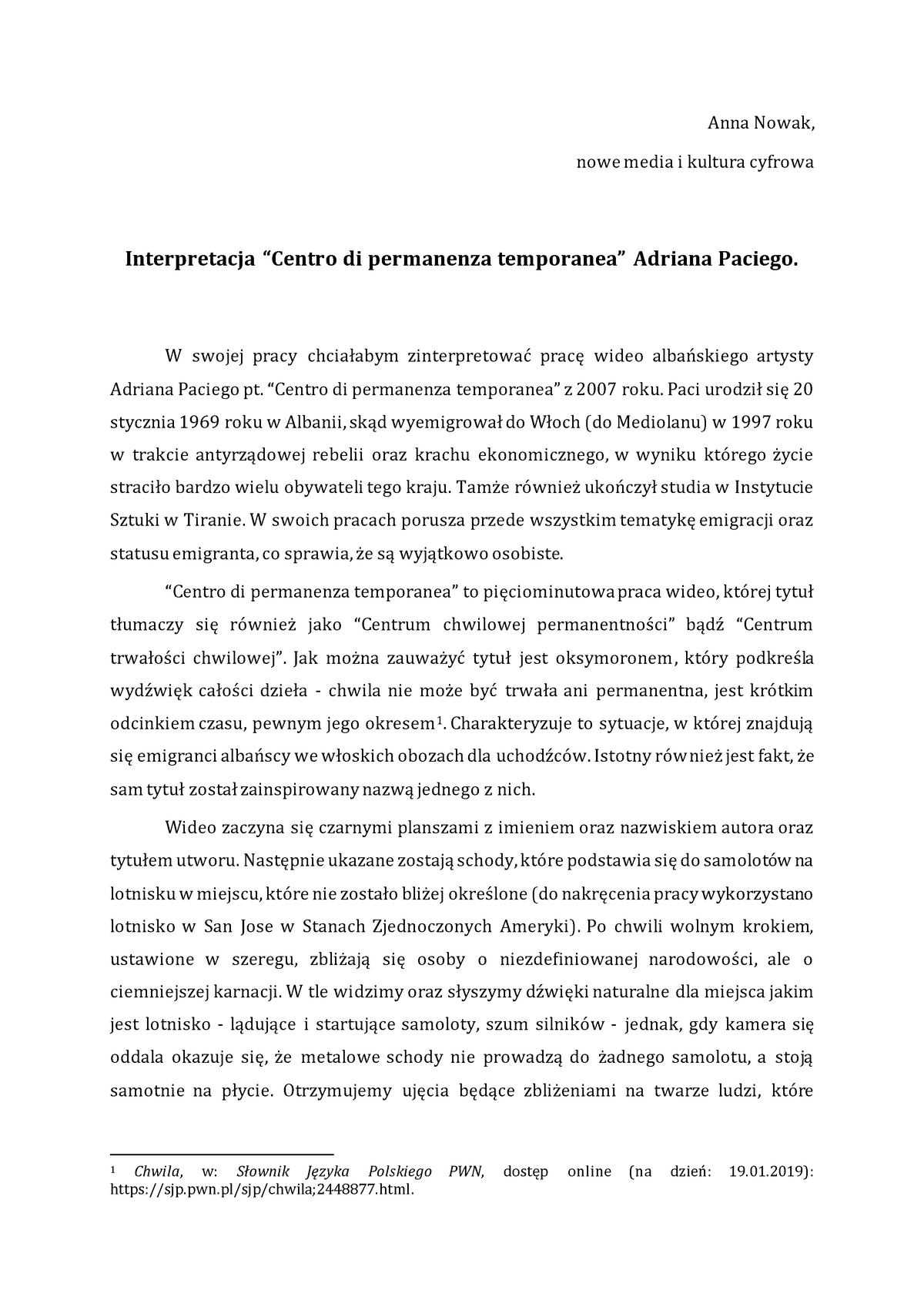 Interpretacja “centro Di Permanenza Temporanea” Adriana Paciego Historia I Estetyka Sztuki 