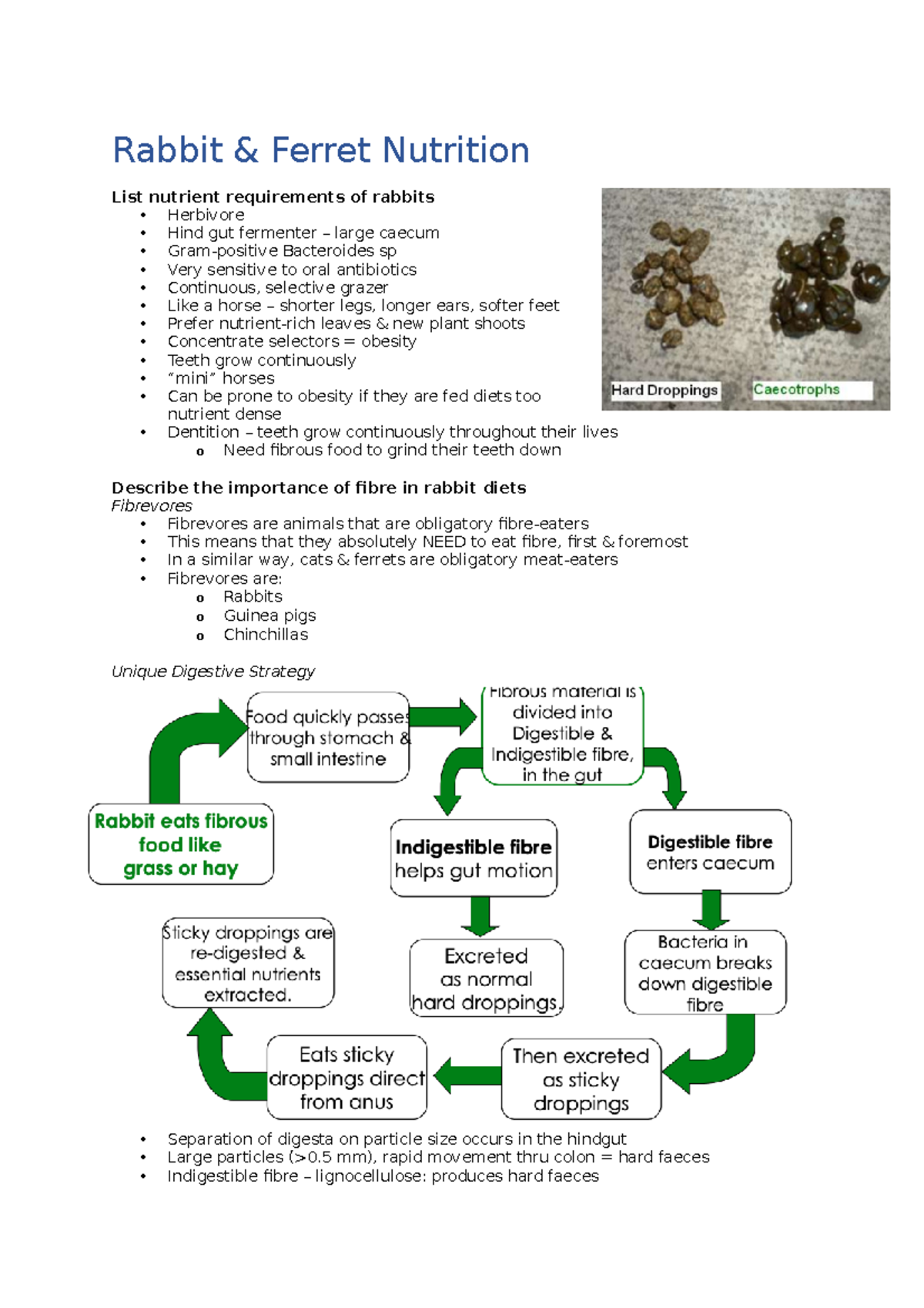Rabbit & Ferret Nutrition Rabbit & Ferret Nutrition List nutrient