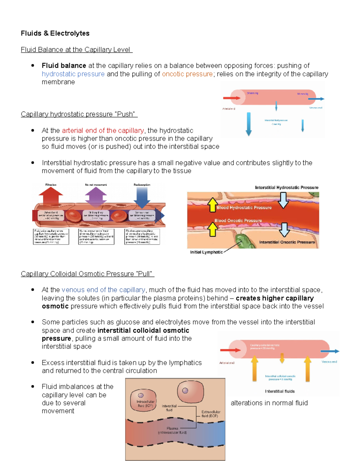 fluid-and-electrolyte-imbalances-fluids-electrolytes-fluid-balance