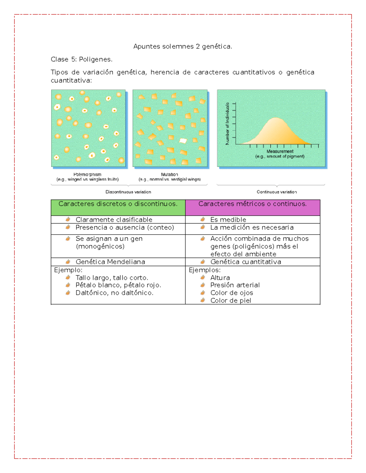 Apuntes solemne 2 genética - Clase 5: Poligenes. Tipos de variación ...