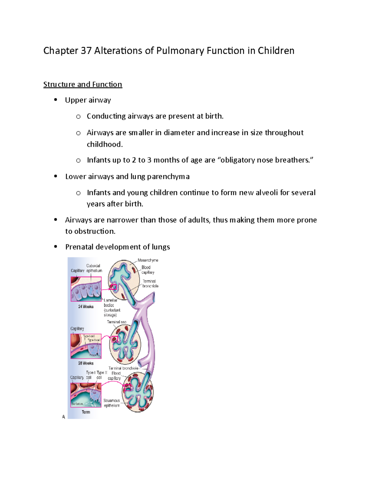 Chapter 37 Alterations of Pulmonary Function in Children - o Airways ...
