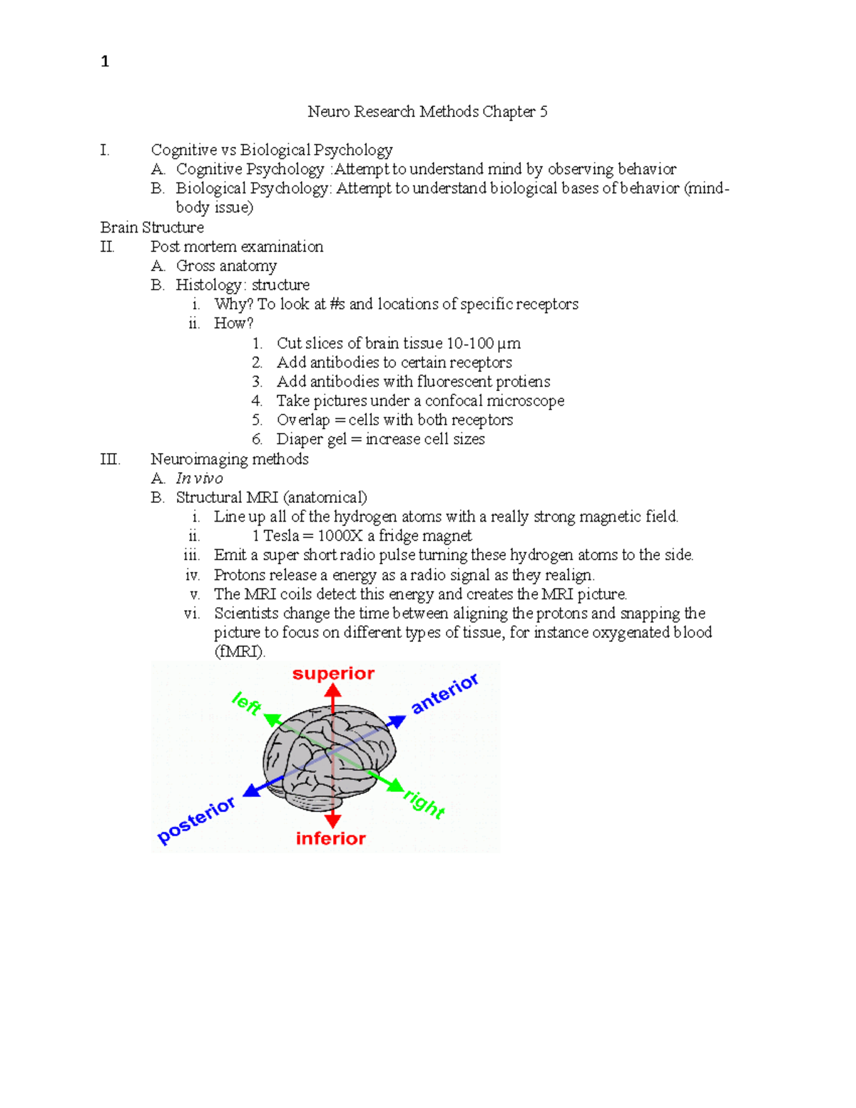 Brain Imaging - notes from class for exam - Neuro Research Methods ...