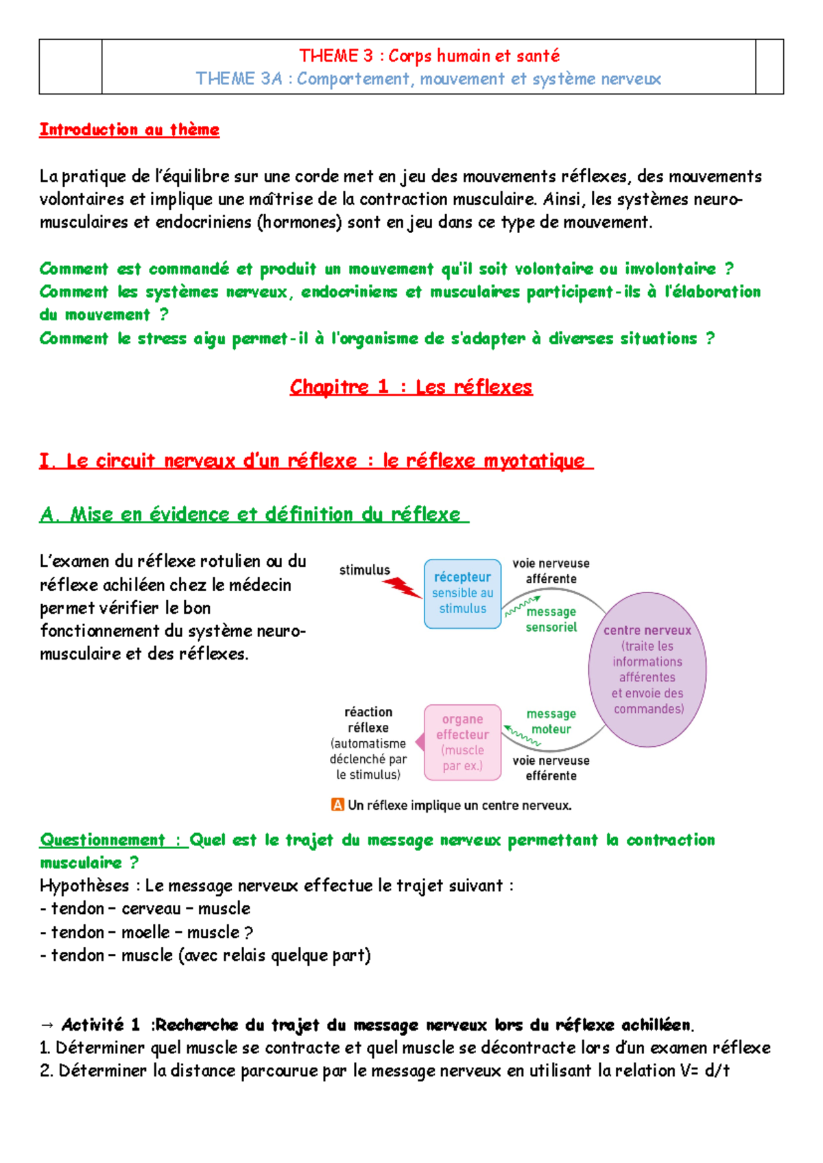 Chap 1 - les reflexe - THEME 3 : Corps humain et santé THEME 3A ...