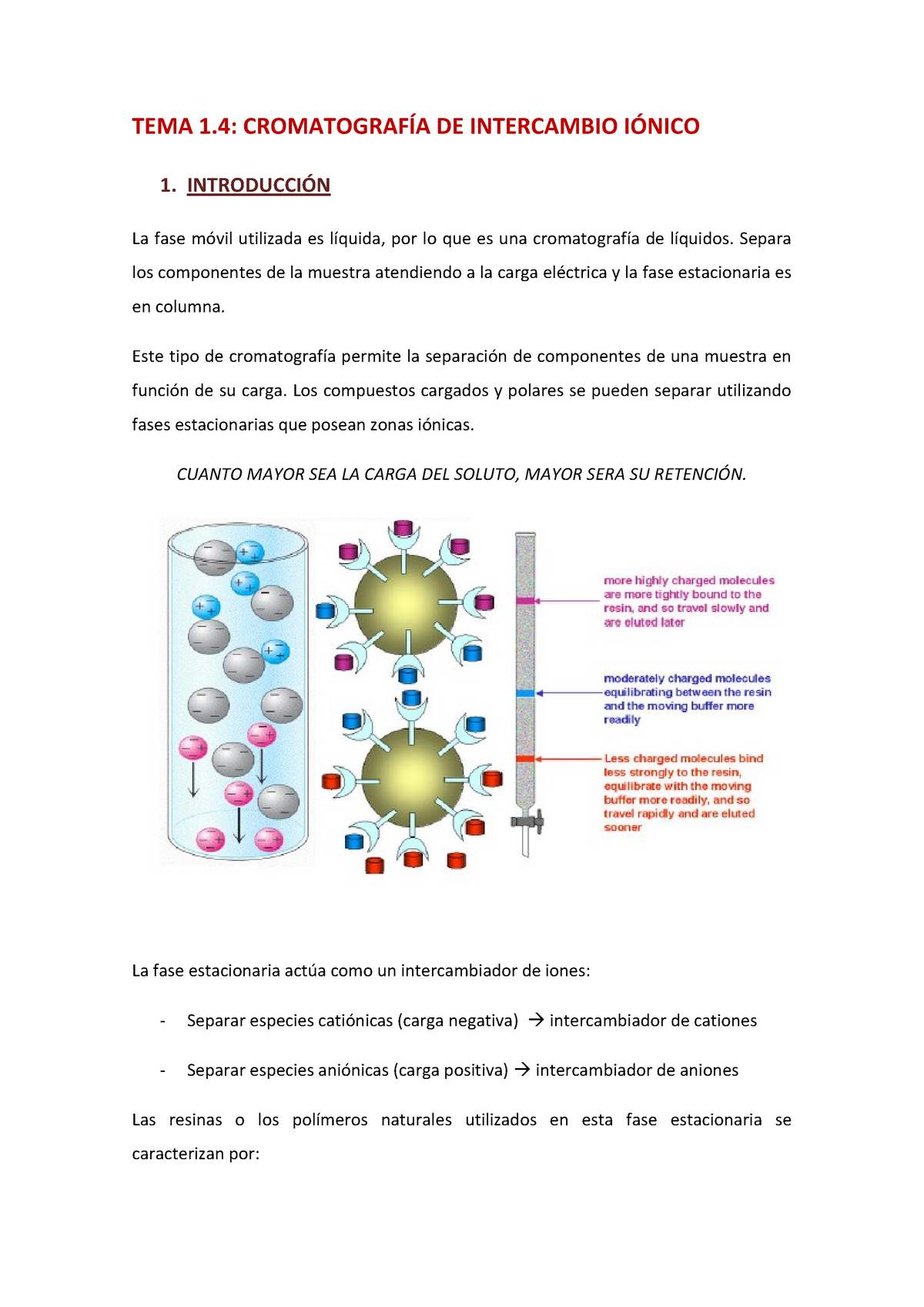 cromatografía de intercambio de iones