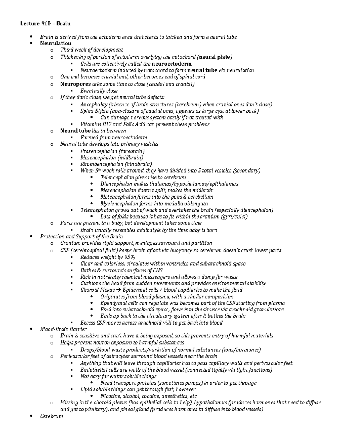 Lecture 10 - Biol Stuff - Lecture #10 – Brain Brain is derived from the ...
