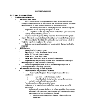 Neuro exam 2 - review notes (based off ppt) - 10.5 - exam 2 slide notes ...