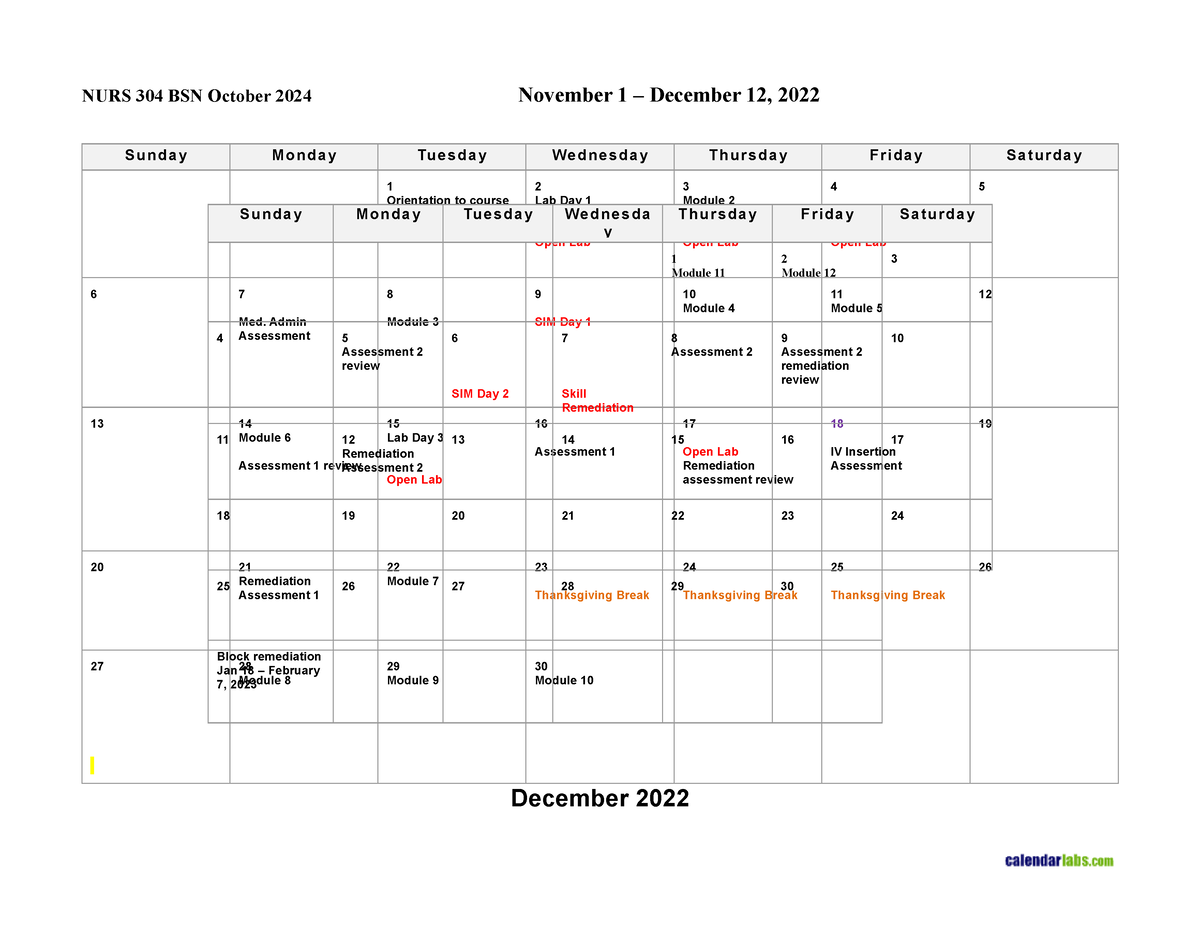BSN 20204 Adult Health I Calendar NURS 304 BSN October 2024 November