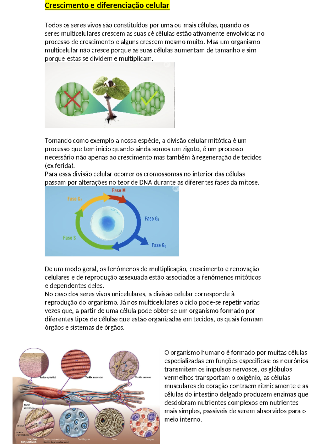 2 teste bio - dsdasdsa - Crescimento e diferenciação celular Todos os ...