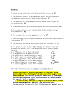 Genetics Chapter 5 Review Questions - CHAPTER 5 REVIEW QUESTIONS The ...