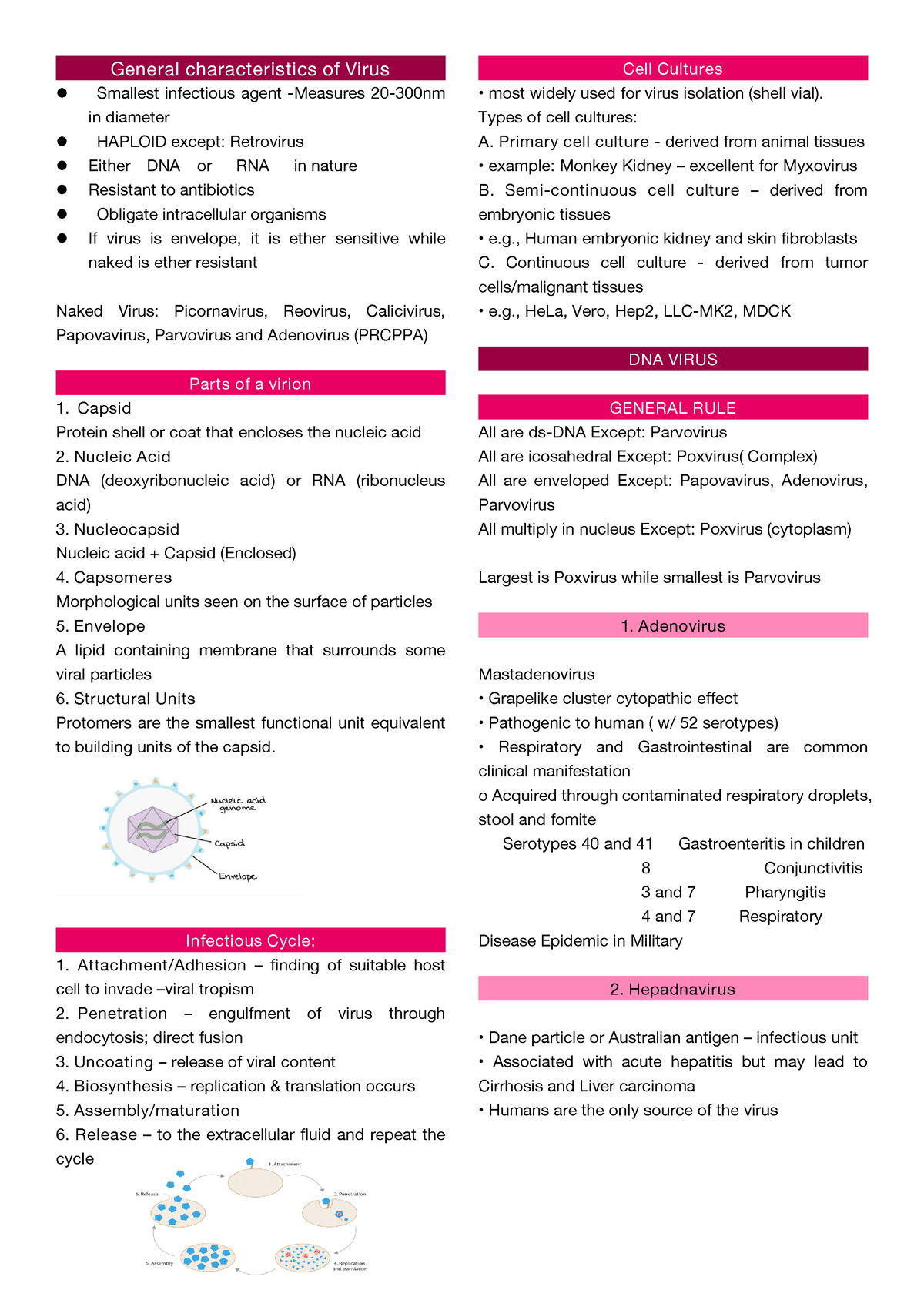 Virology lecture - General characteristics of Virus Smallest infectious ...