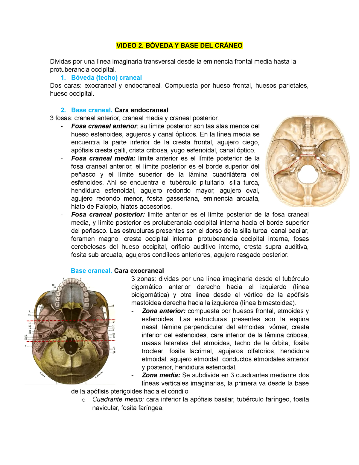 Bóveda Y Base Del Cráneo - Video 2. BÓveda Y Base Del CrÁneo Dividas 