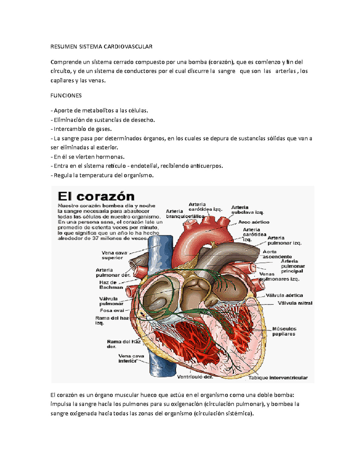 Resumen Sistema Cardiovascular - RESUMEN SISTEMA CARDIOVASCULAR ...