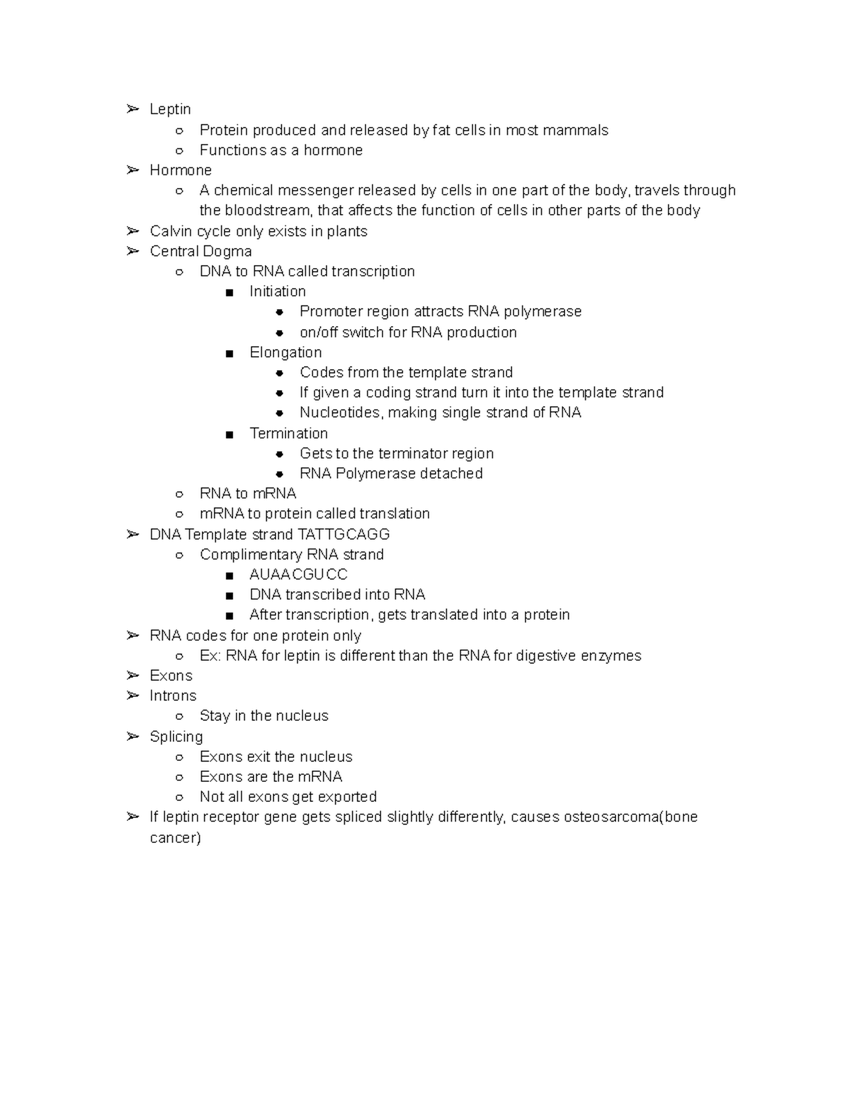Biology Notes DNA RNA RNA stradns copied from DNA strands and into