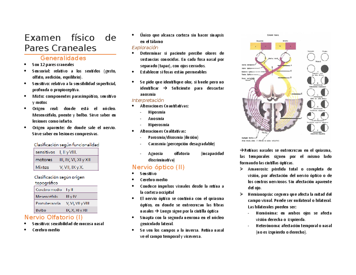 Examen Físico De Pares Craneales - Examen De Pares Craneales ...