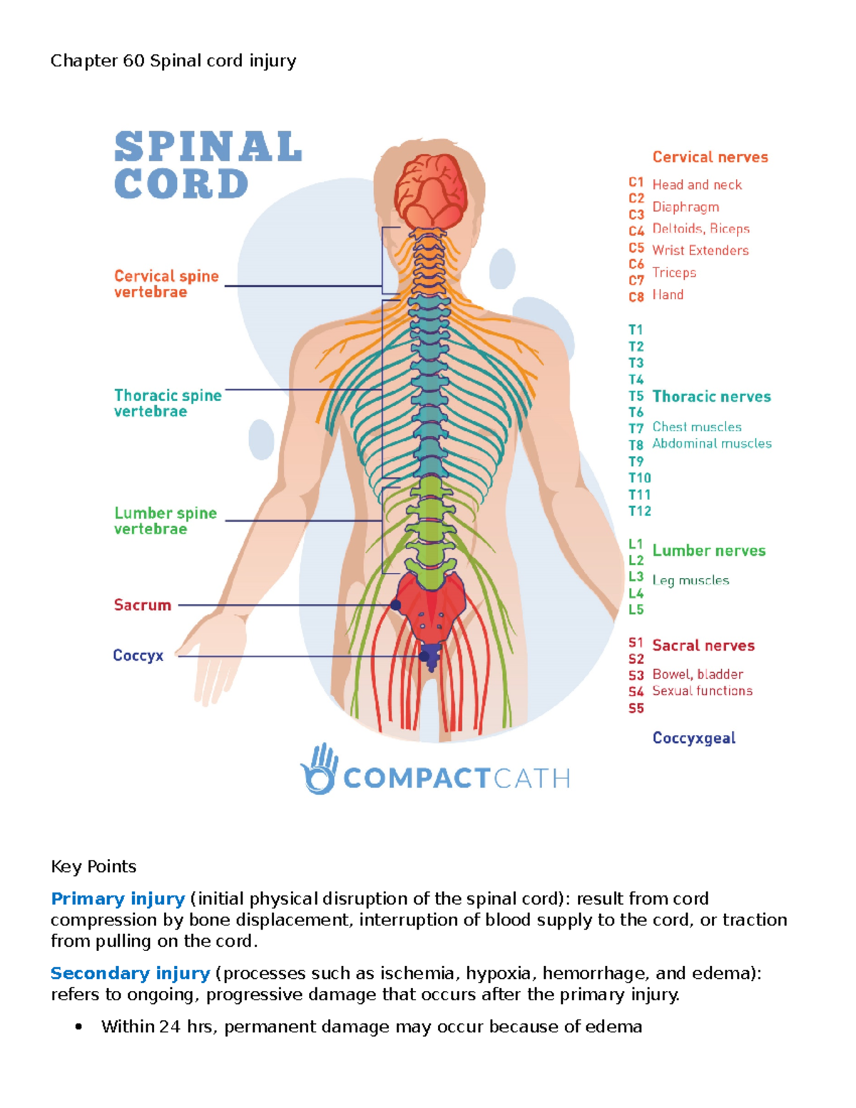 Chapter 60 Spinal Cord Injury - NUR1211 - MDC - Studocu