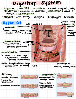 Appendicular Skeleton Part 2 - BIO 240 - NC State University - Studocu