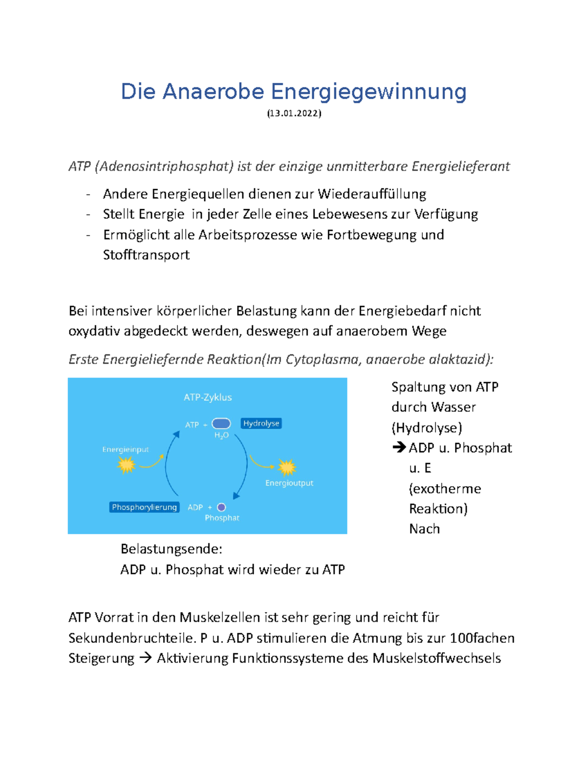 Anaerobe Und Aerobe Energiegewinnung Anaerobe Energiegewinnung (Phasen der ATP Resynthese) - Die Anaerobe