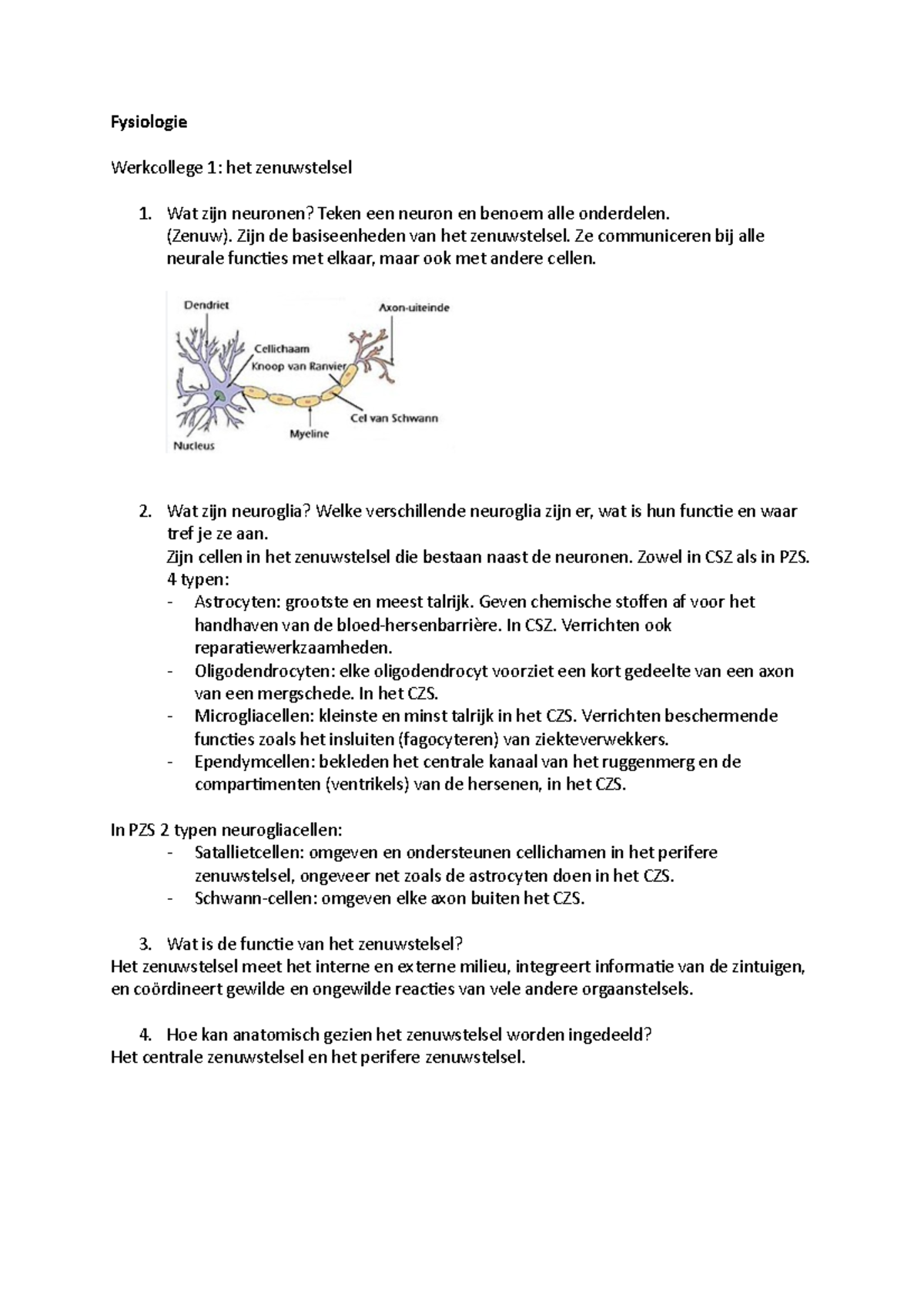 Fysiologie - Fysiologie Werkcollege 1: Het Zenuwstelsel 1. Wat Zijn ...