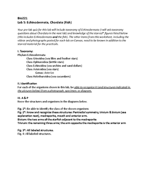 Zoology+lab+3+handout+(2020) - Bio 221 (Fall 2020) Lab #3: Phylum ...