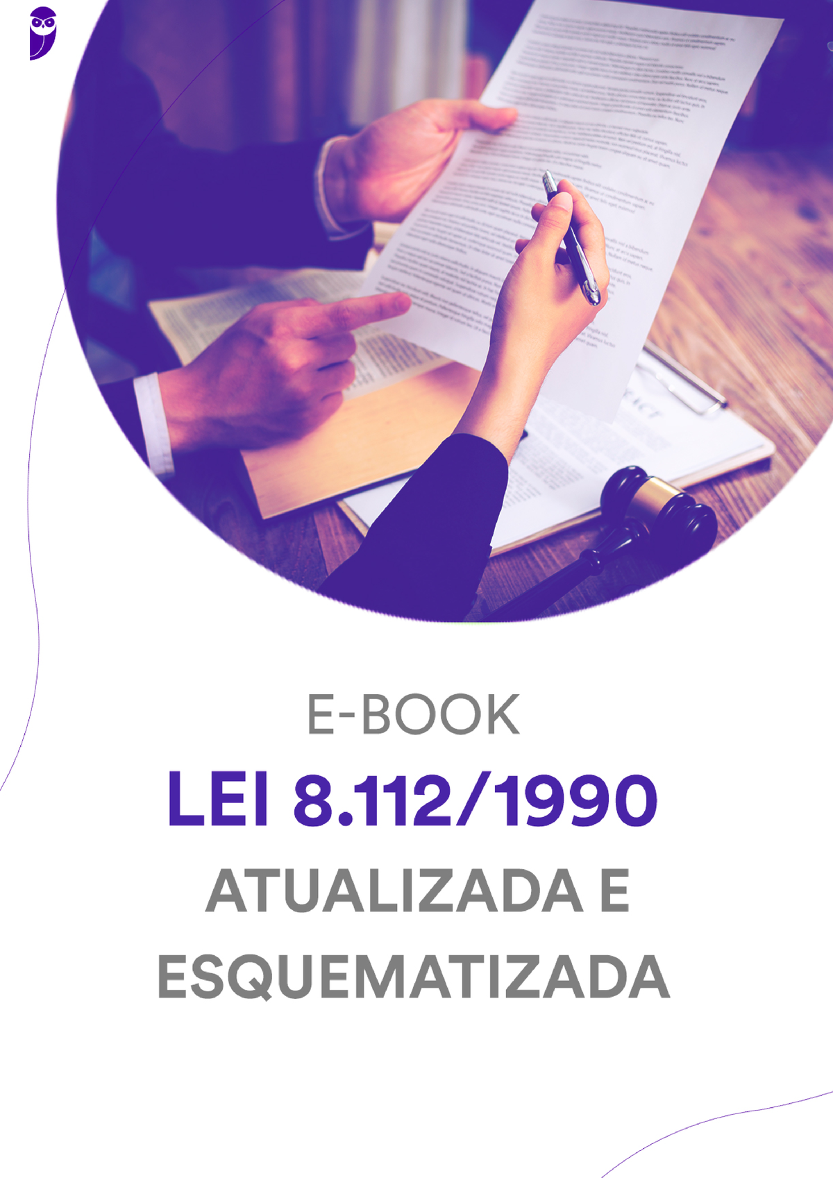 Lei 8112 Atualizada E Esquematizada 2021 - Lei 8/90 – Atualizada E ...