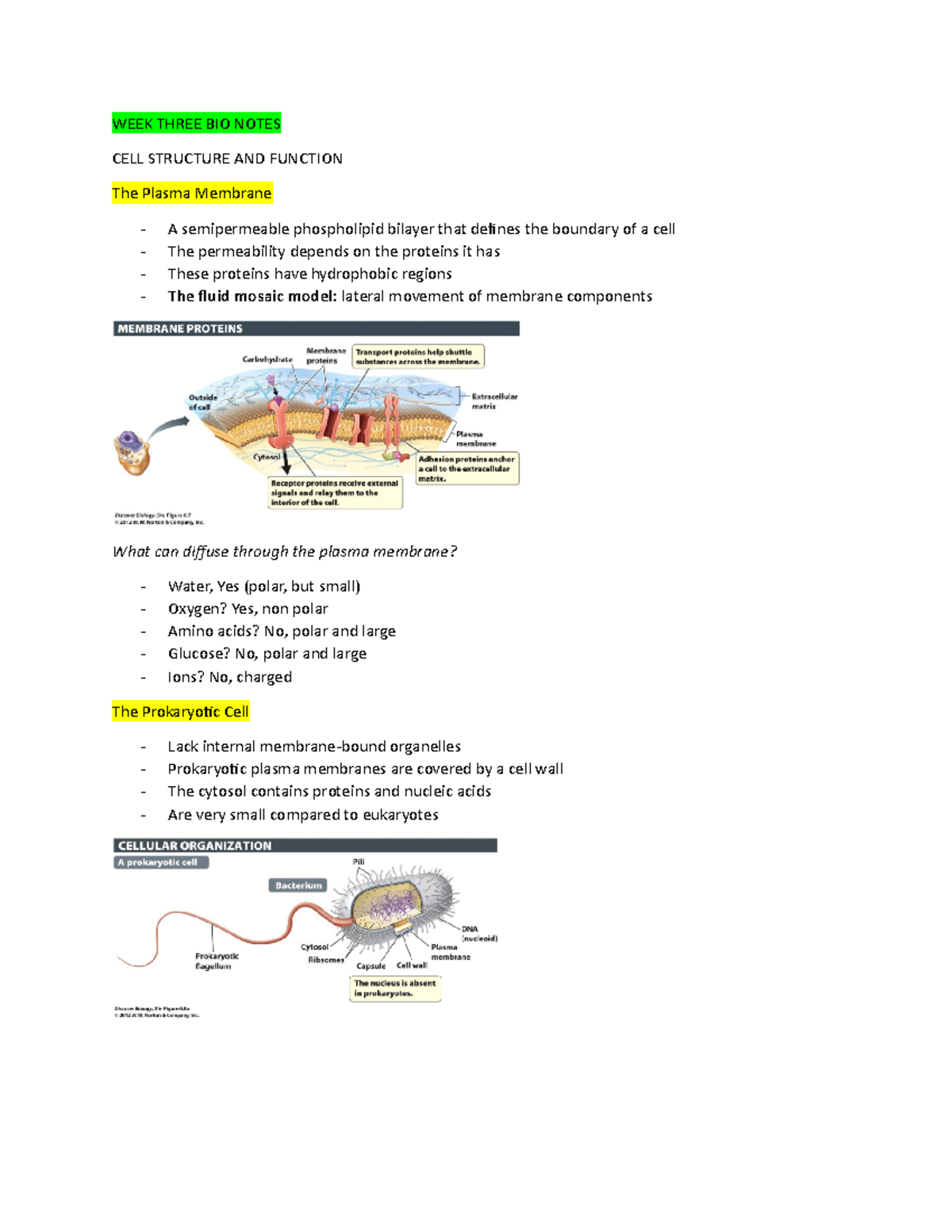 WEEK Three BIO Notes - WEEK THREE BIO NOTES CELL STRUCTURE AND FUNCTION ...
