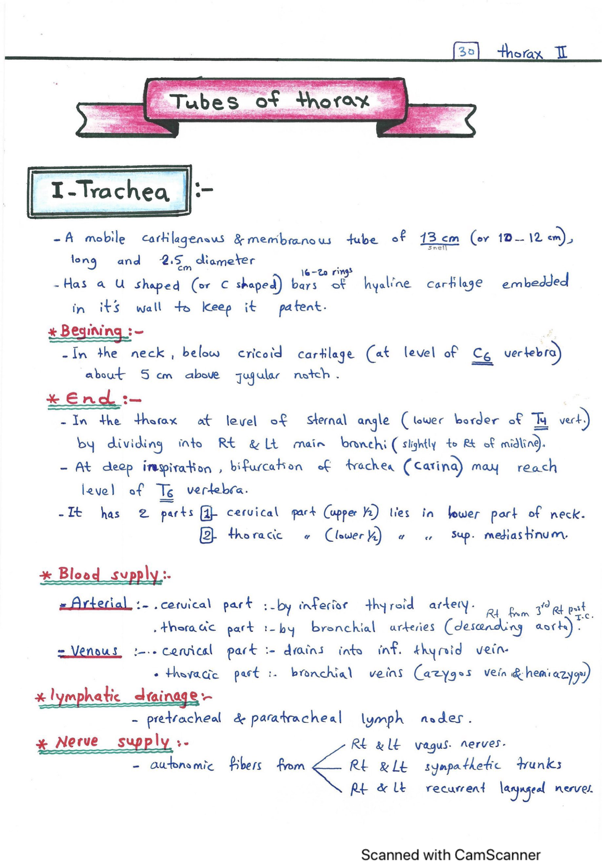 Tubes of thorax and Notes - Anatomy 2 - Studocu