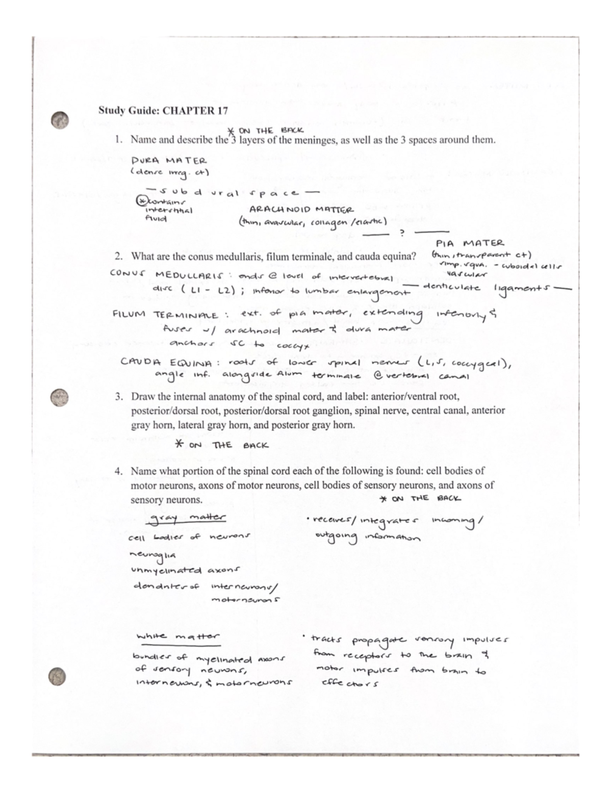 Anatomy SG 17 - Study Guide For Brain - BIOL 2320 - Studocu