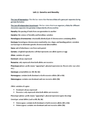 Bio101 Lab - Practical #1 Review - BIO101 PRACTICAL #1 REVIEW SHEET ...