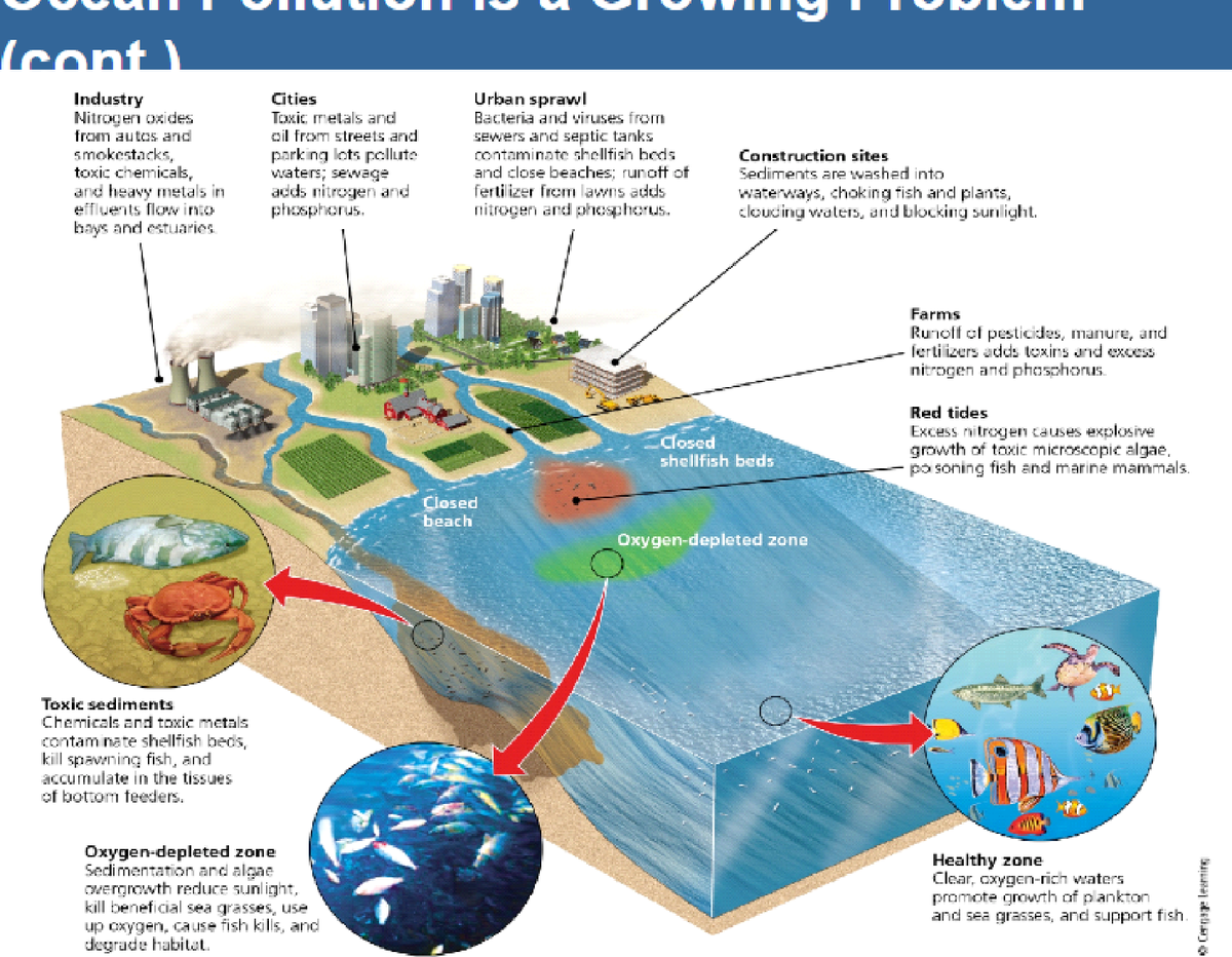 P6 - Notes for enviro Class - 11:375:101 - Studocu