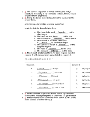 Medical Surgical Cheat Sheet Copyright BN - EAUTIFUL URSING Medical ...