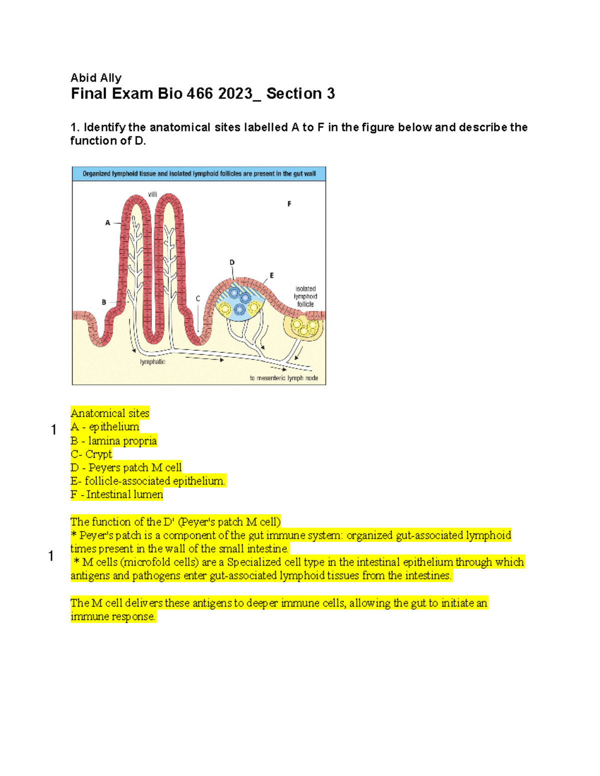 immunology+final+section+3 practice - Abid Ally Final Exam Bio 466 2023 ...