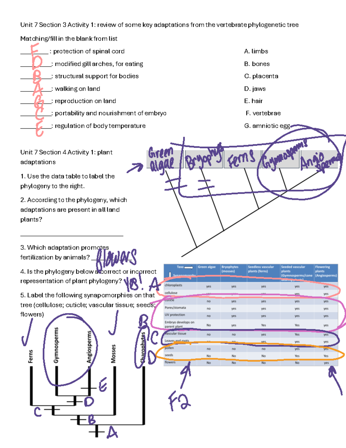 Unit 7 Sections 3, 4, And 5 Gradescope - Unit 7 Section 3 Activity 1 ...