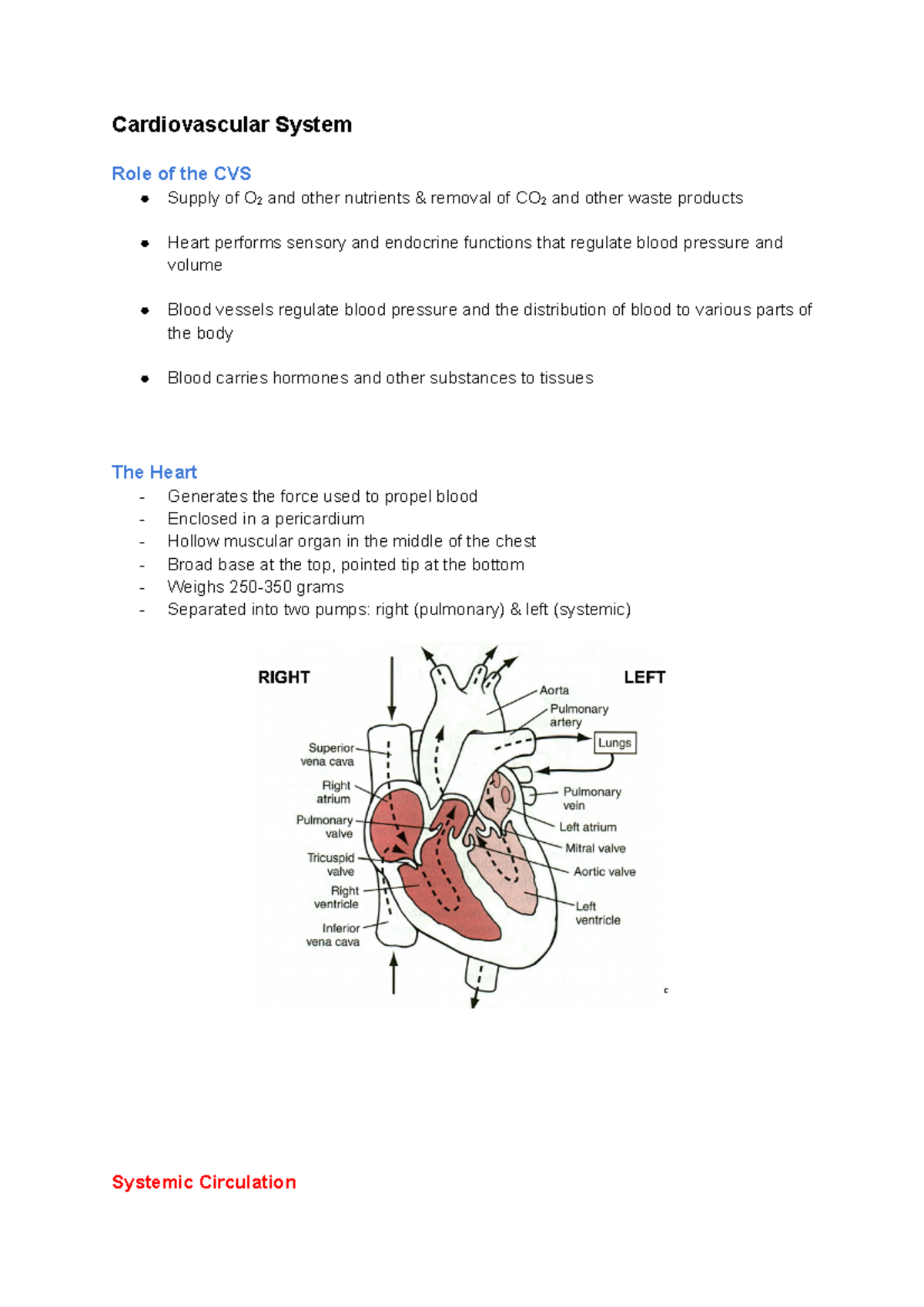 Cardiovascular System notes - Cardiovascular System Role of the CVS ...