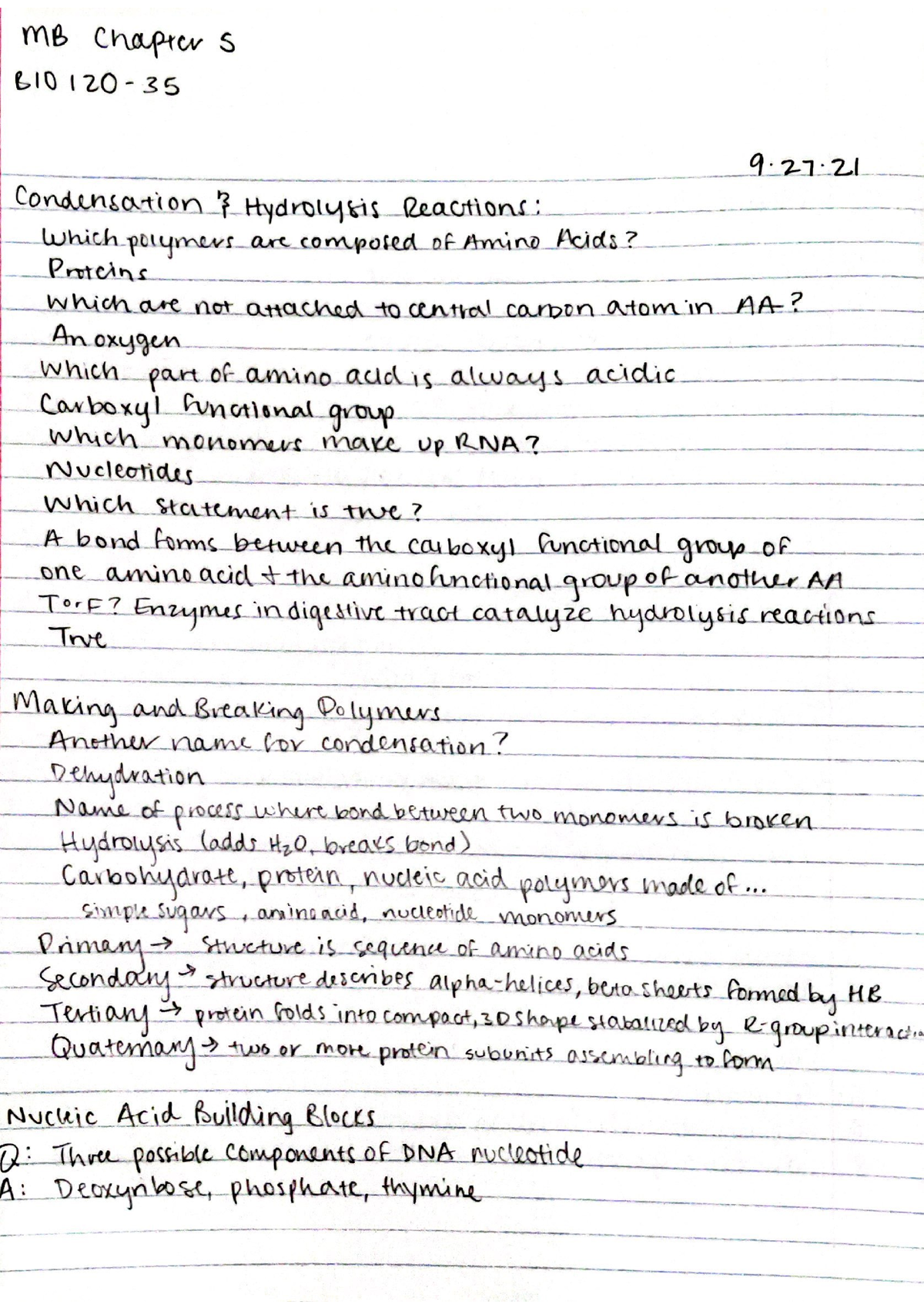 BIO120 Mastering Biology Chapter 5 - BIO 120 - Studocu