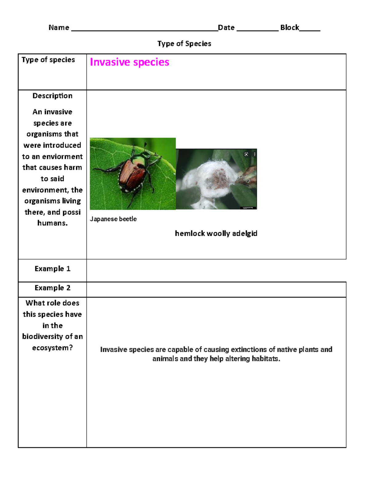 copy of type of species jigsaw notes help name block studocu