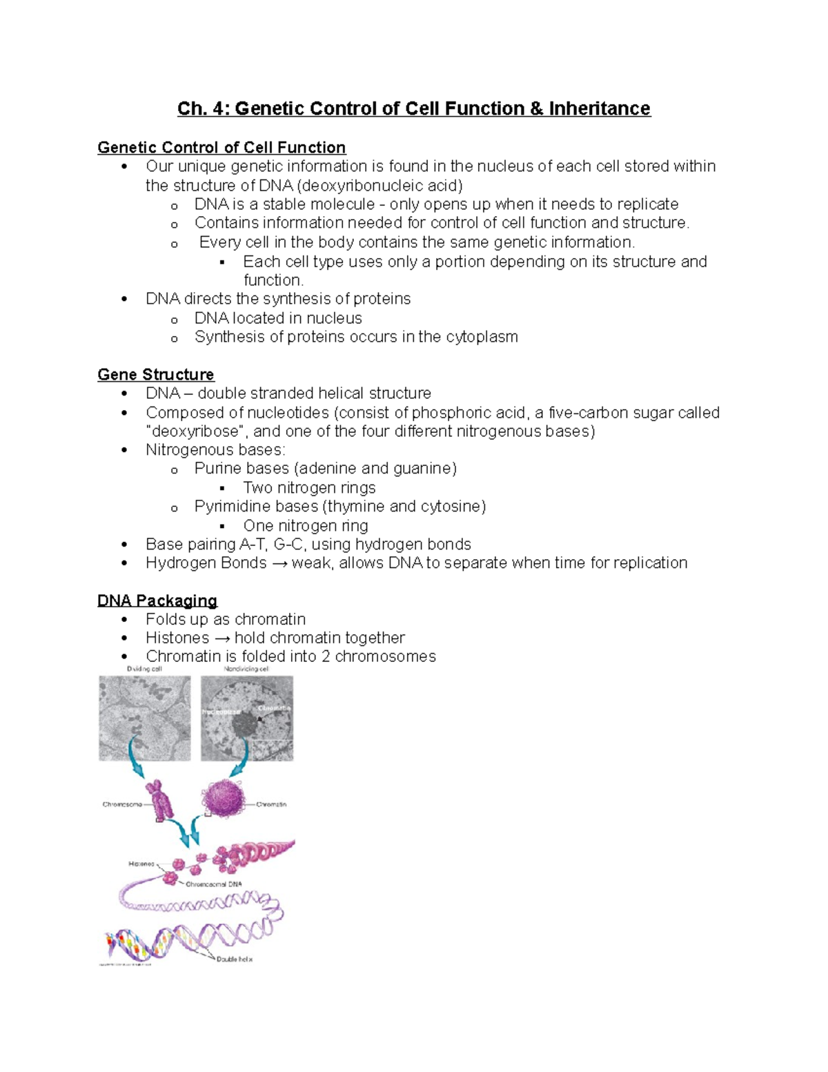 Ch 4 SG - Chapter 4 Lecture notes - Ch. 4: Genetic Control of Cell ...