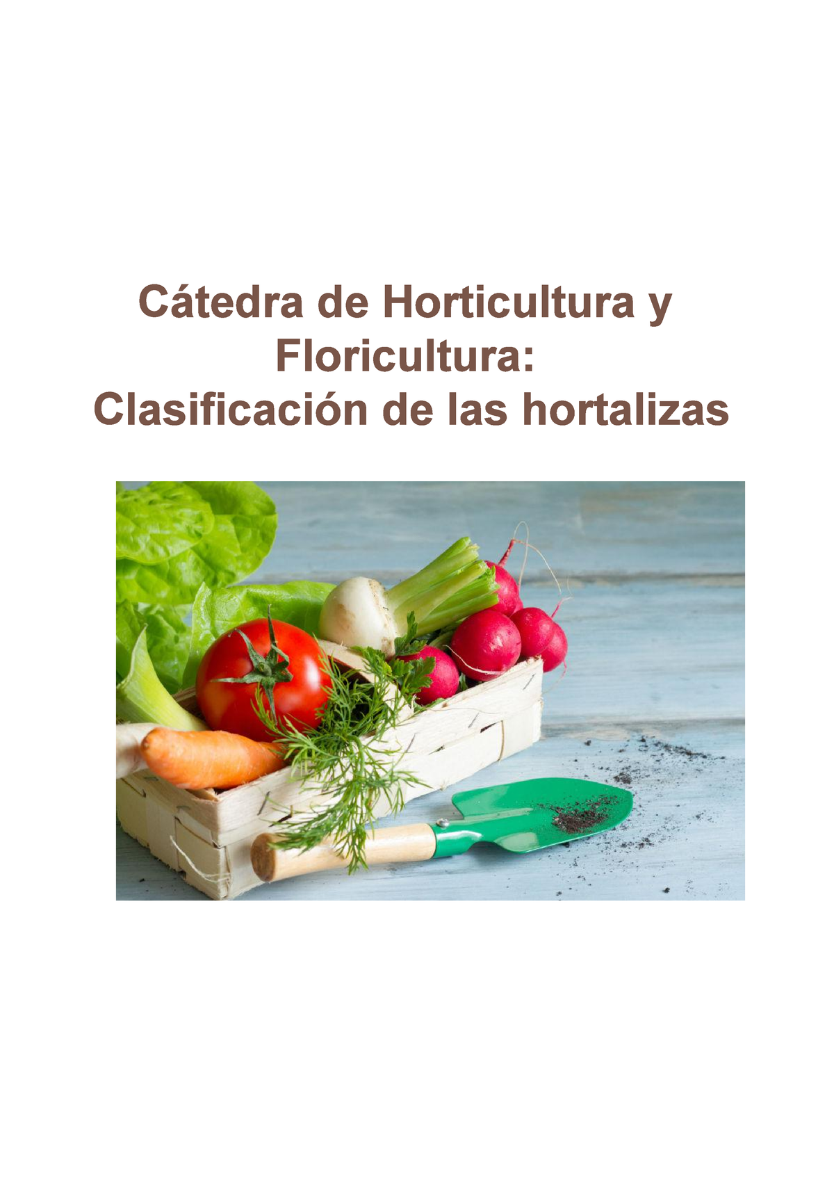 Clasificación Horticultura Horticultura Cátedra De Horticultura Y Floricultura Clasificación 5597
